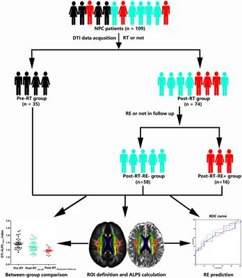 Radiation-induced glymphatic dysfunction in patients with nasopharyngeal carcinoma: a study using diffusion tensor image analysis along the perivascular space